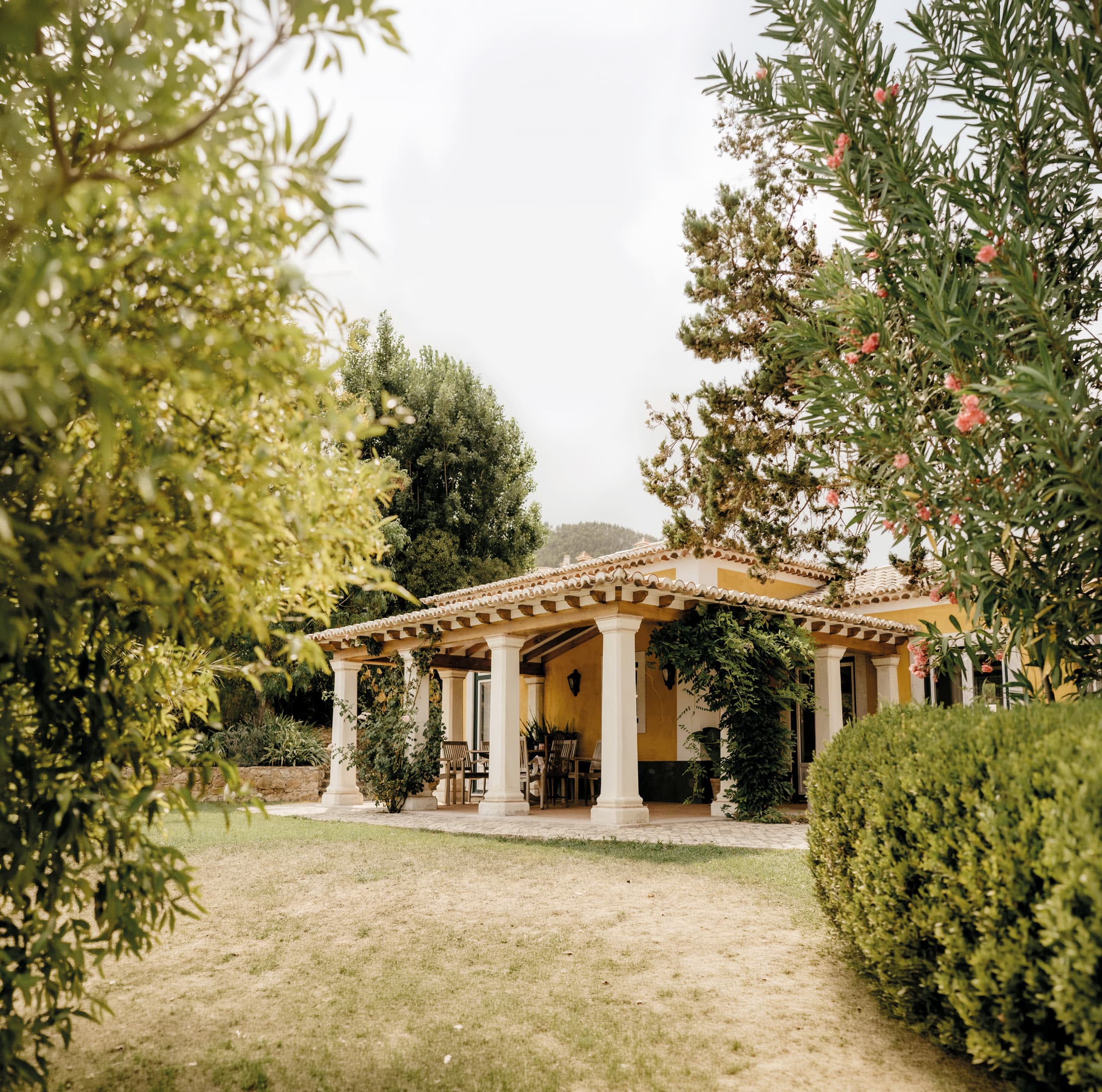 Vineyard House framed by olive trees and gardens