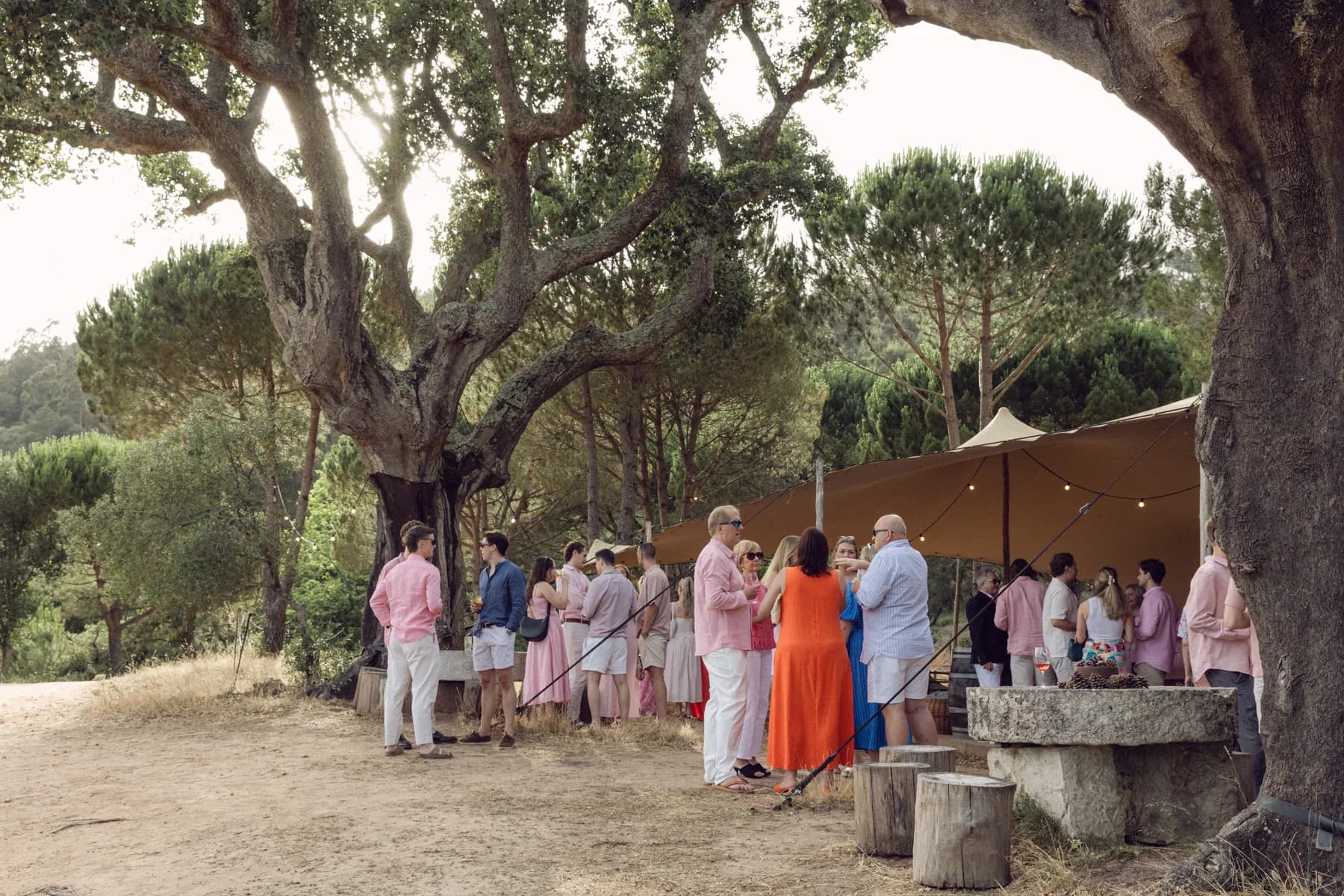 Welcome dinner guests mingling beneath trees beside the tent