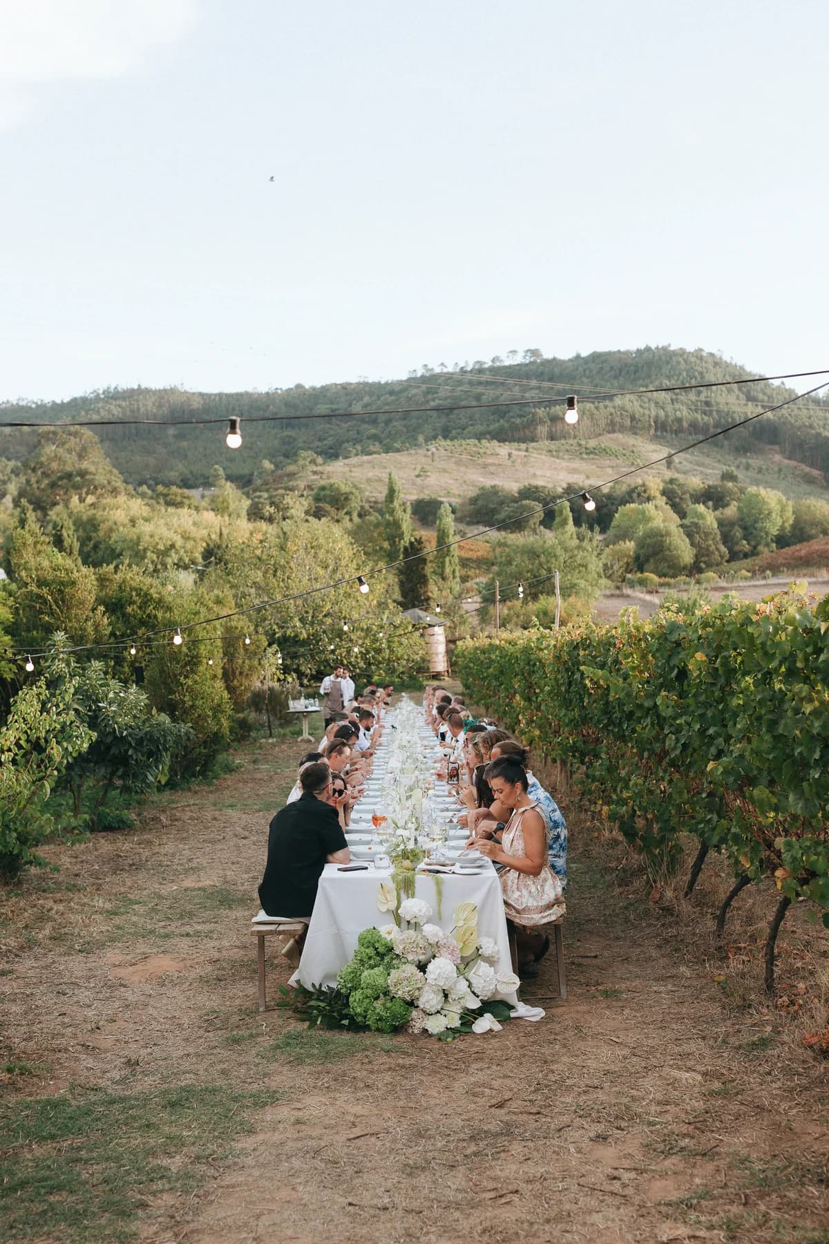 Guests dining at a long table between vineyard rows