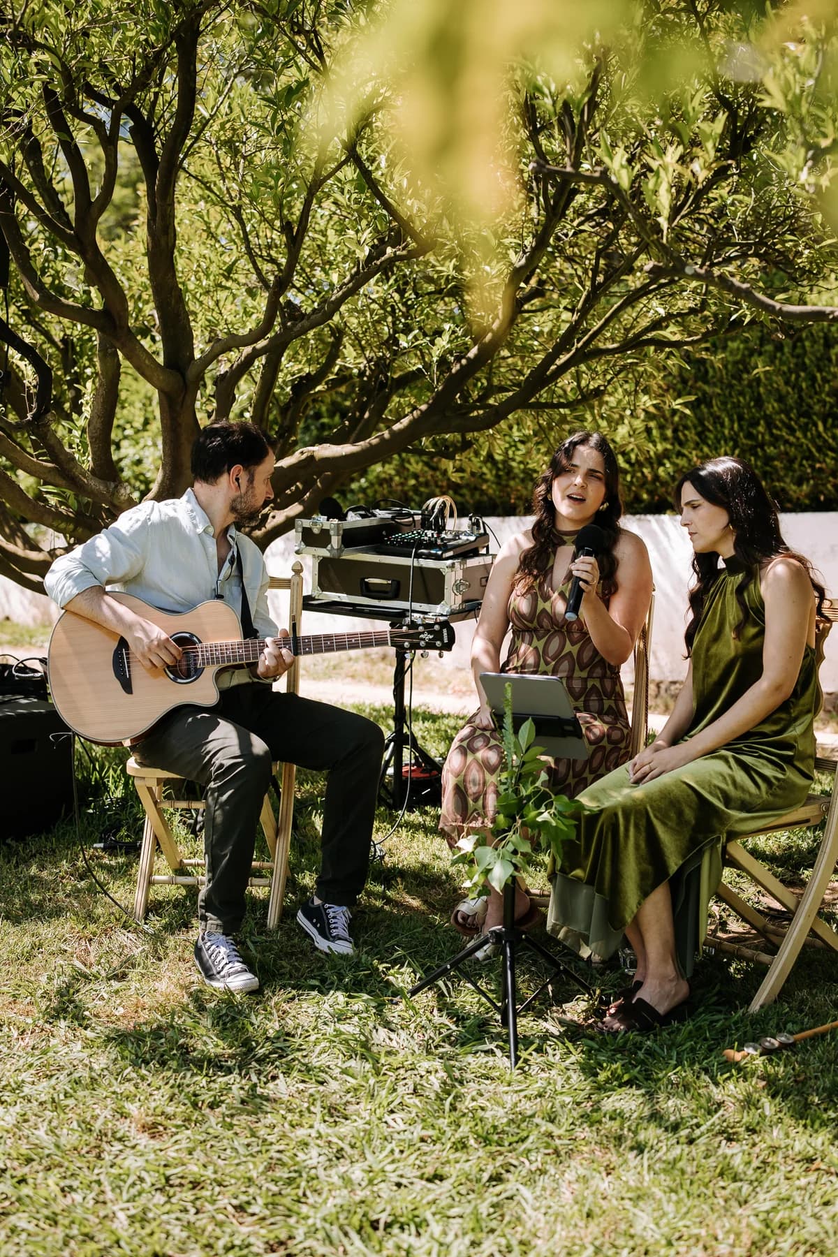 Musicians performing beneath trees at an outdoor ceremony