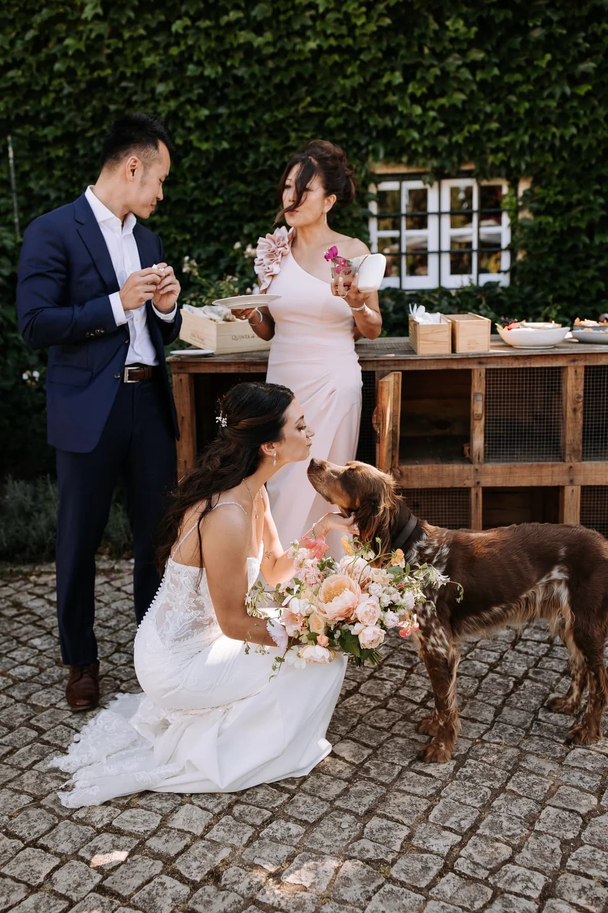 A bride greeting a dog during courtyard drinks