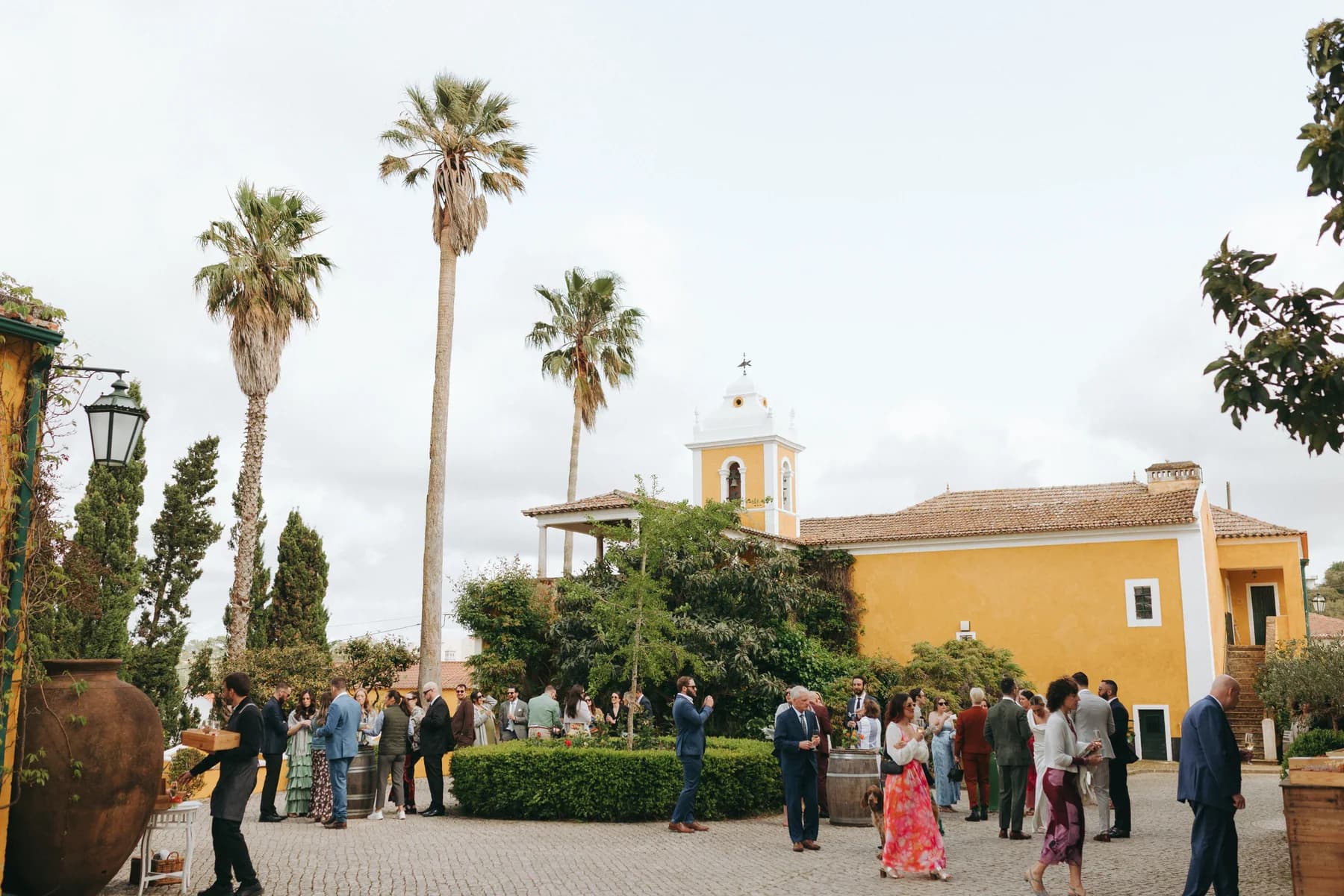 Wedding guests gathered beneath the courtyard palm trees