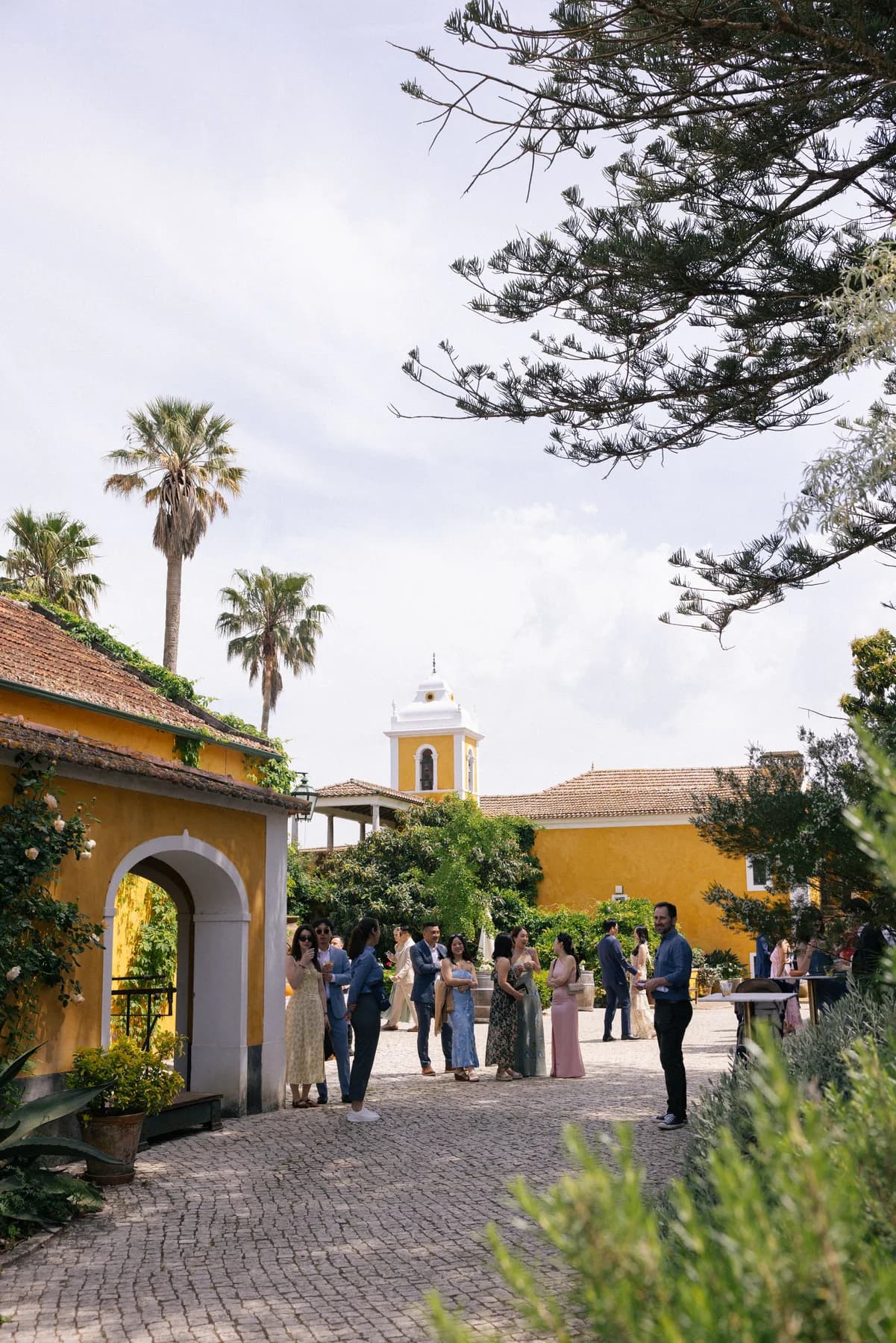 Guests gathered on the sunlit estate terrace