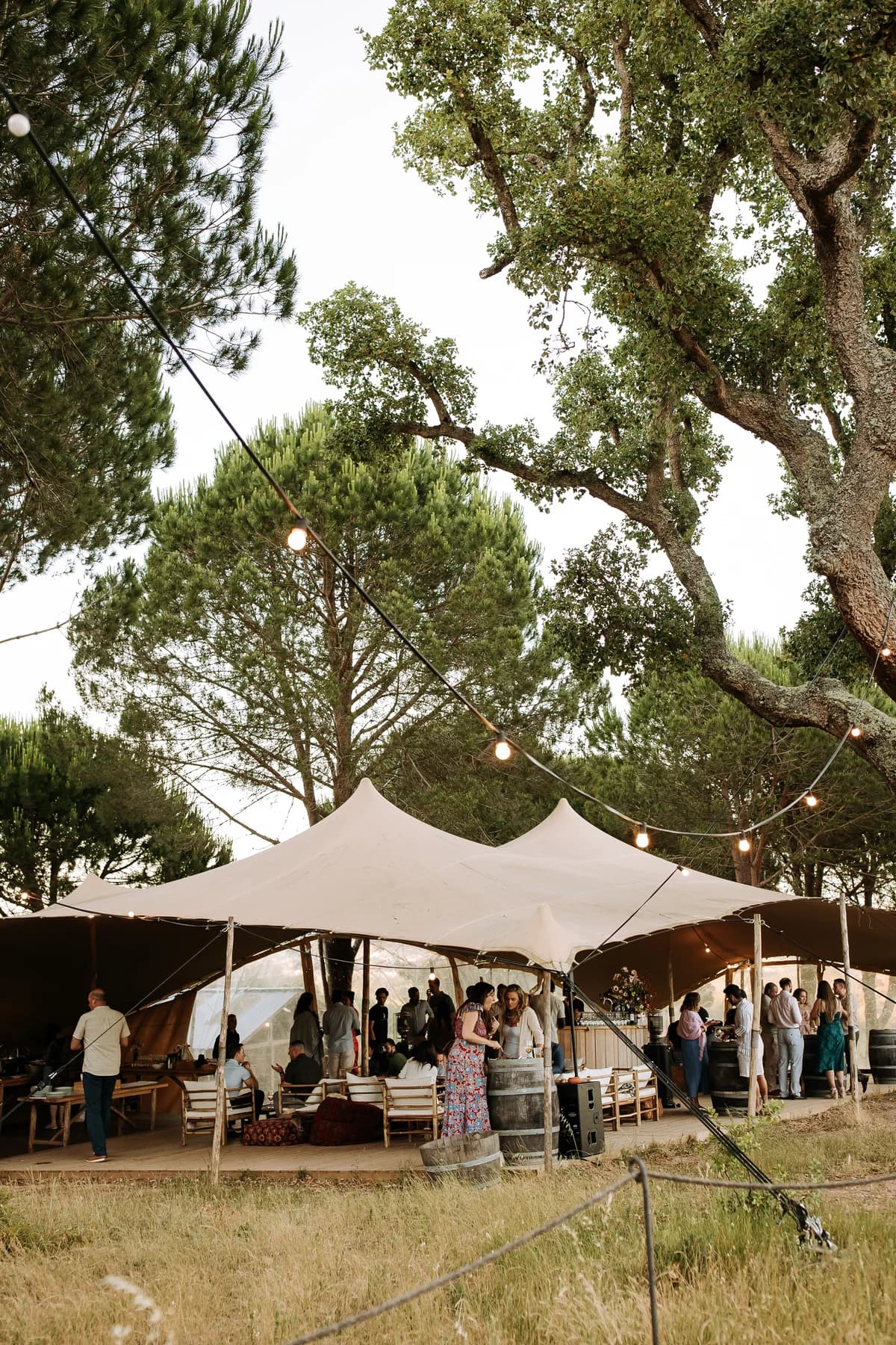 A welcome gathering beneath a tent and mature trees