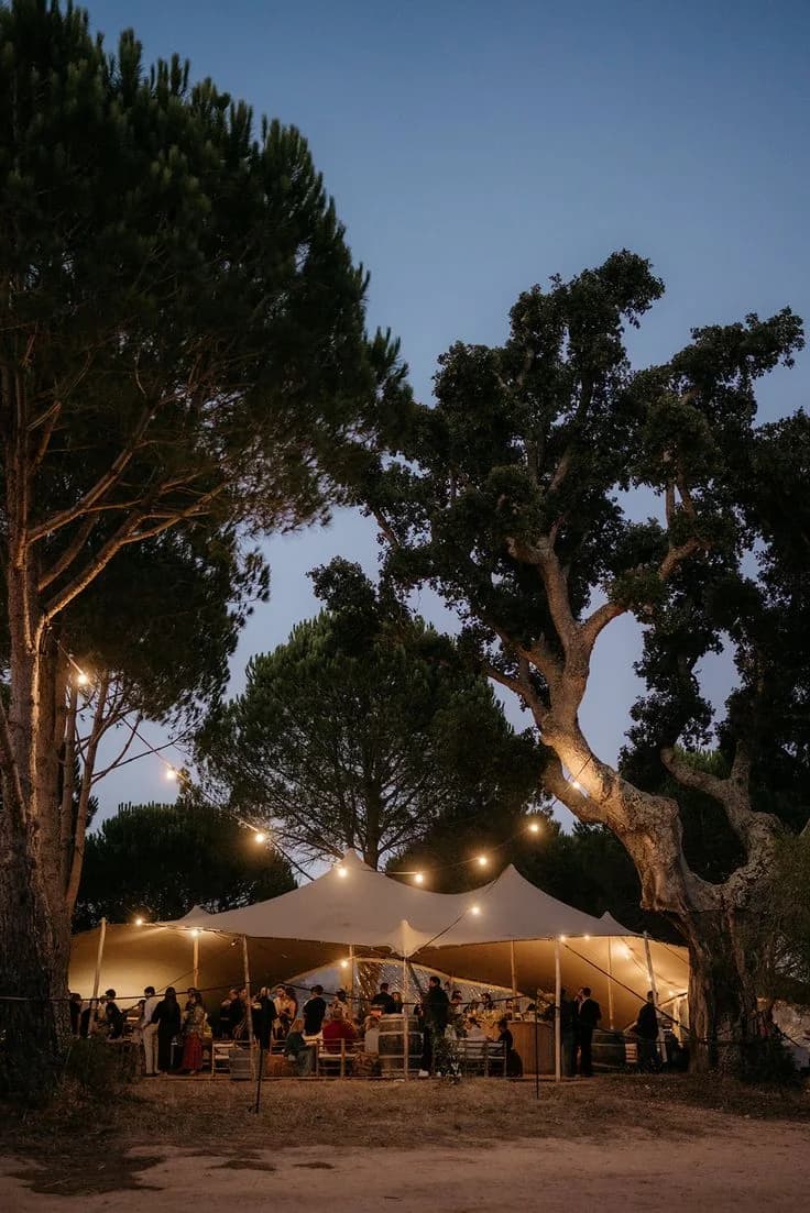 The welcome dinner tent glowing beneath trees at dusk