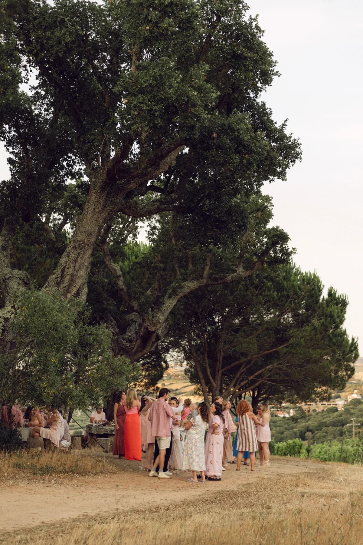Welcome dinner guests gathered beneath tall trees