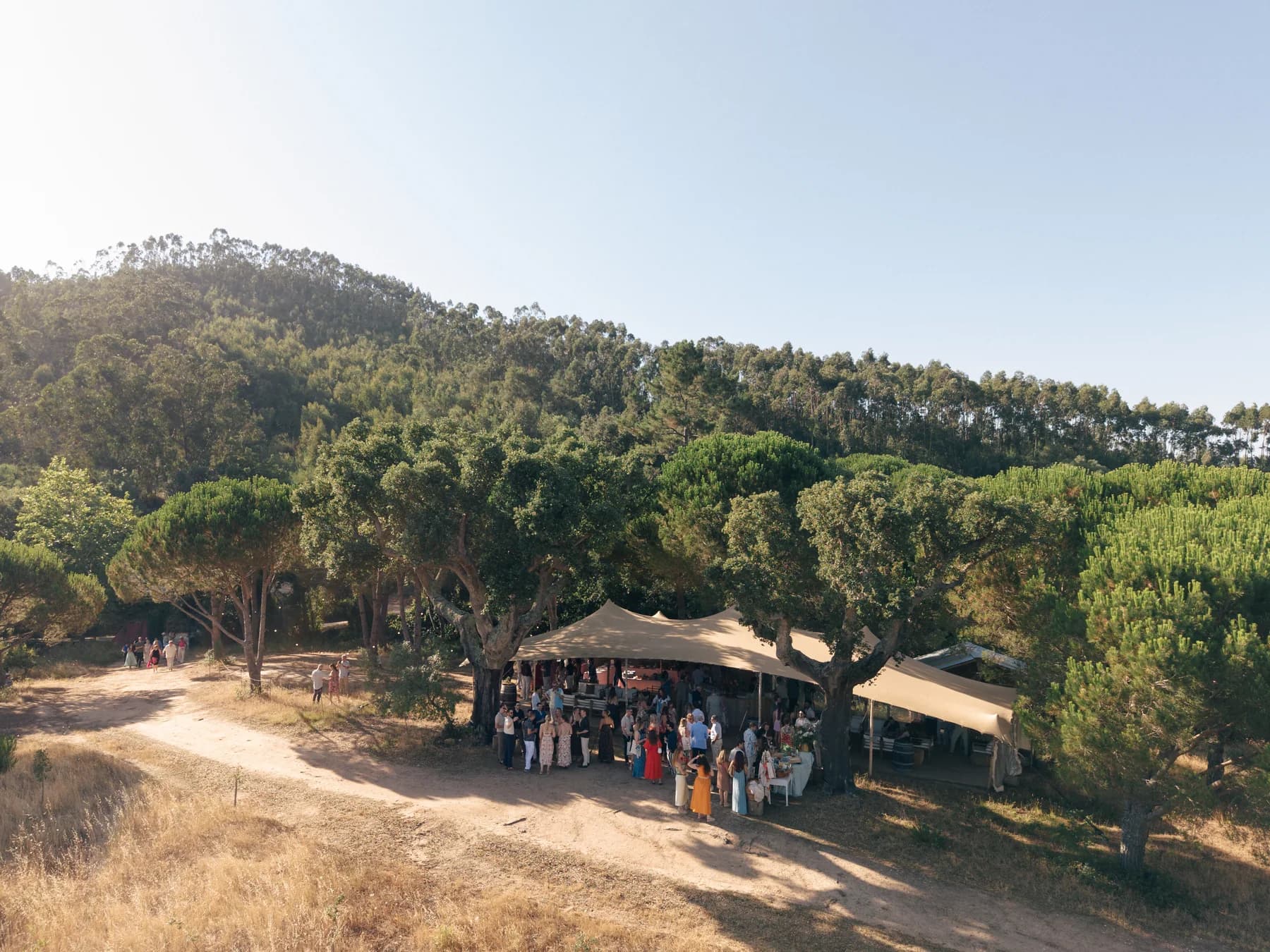 An aerial view of guests beneath the trees by the welcome tent