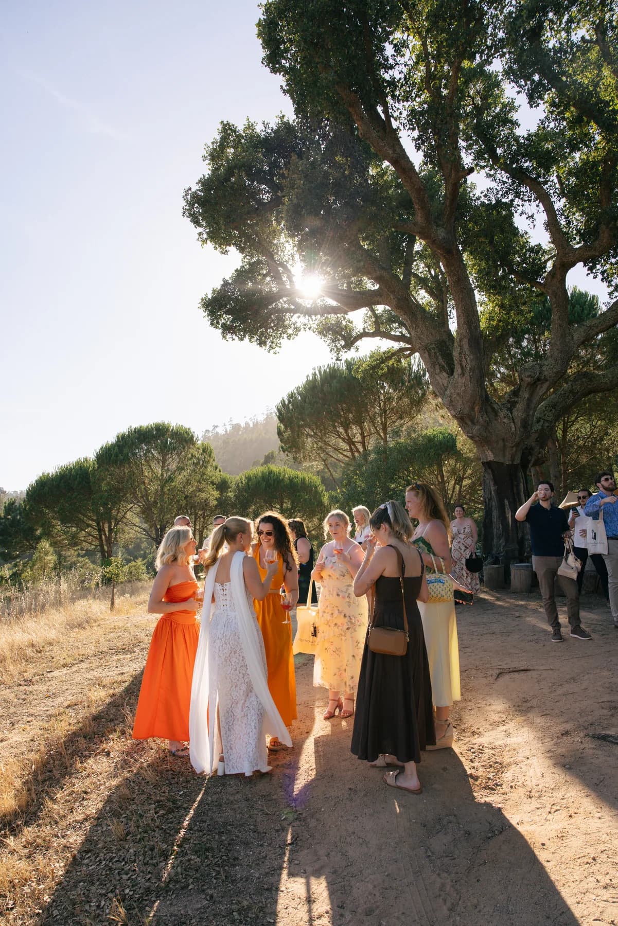 Guests walking through the trees in the evening sunshine