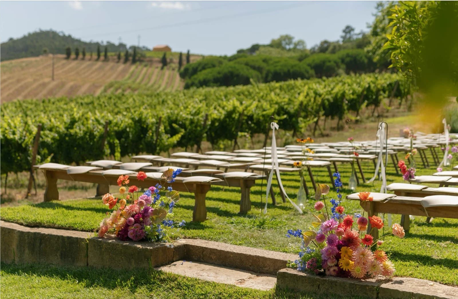 Colourful flowers beside stone steps and ceremony benches overlooking the sunlit vineyards