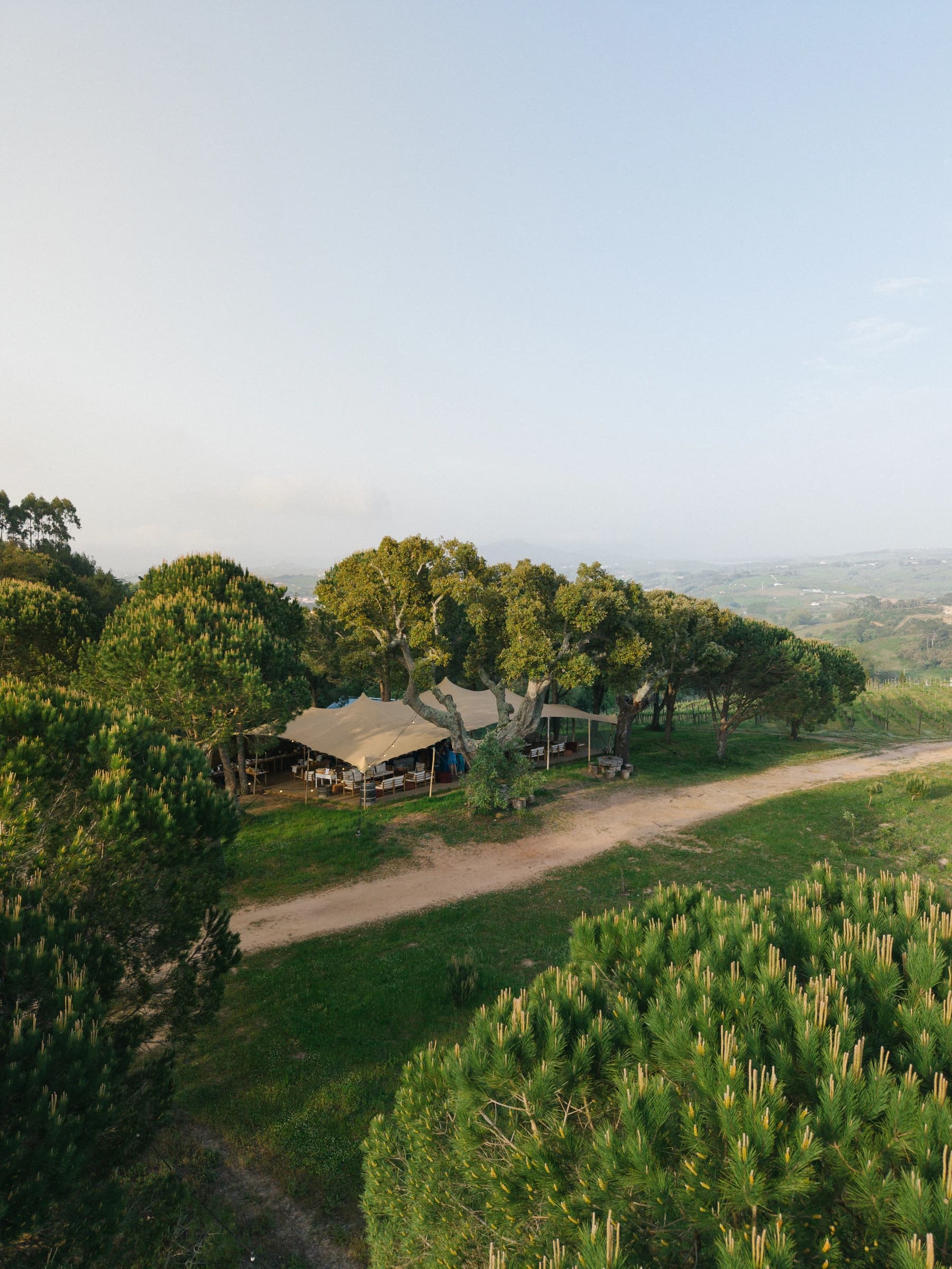 The Pinhal Tent among trees overlooking the vineyards