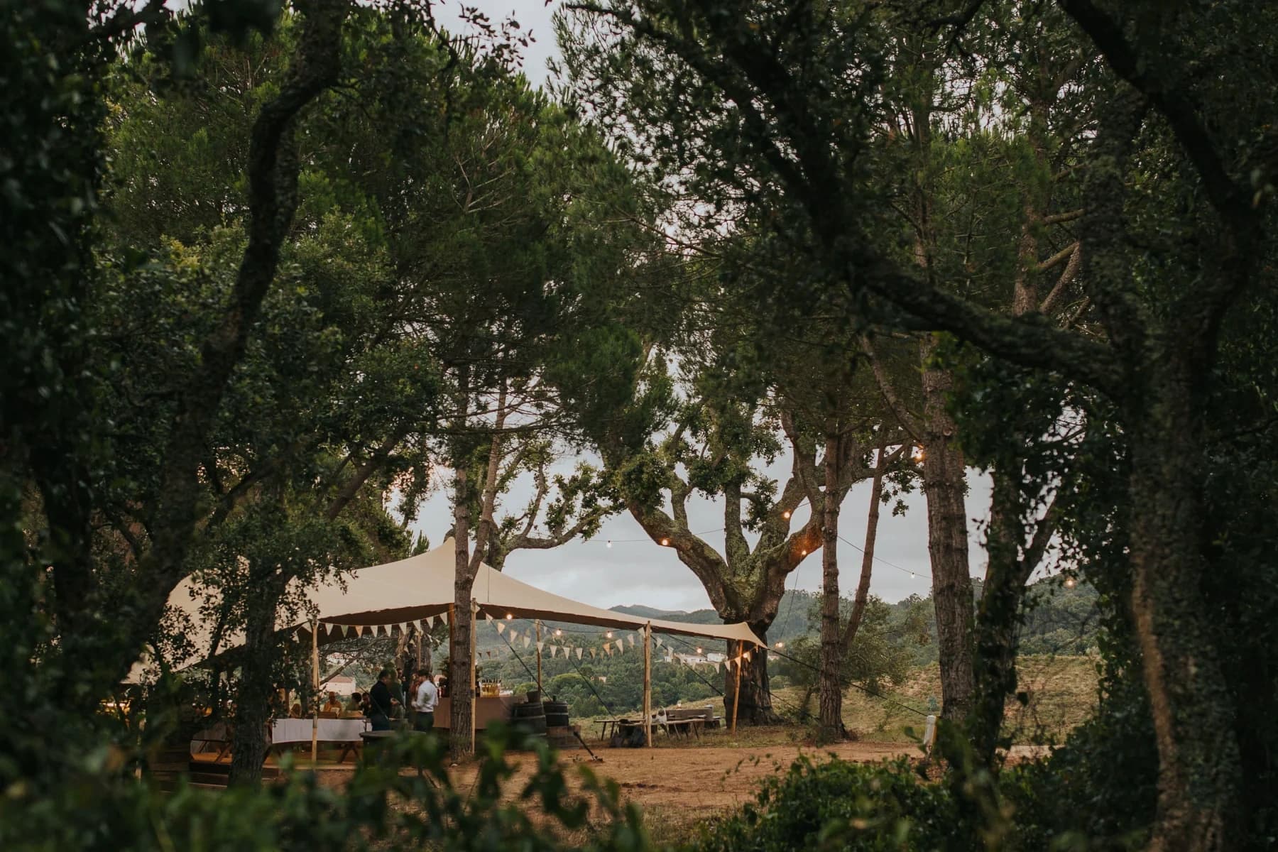 The Pinhal Tent framed by trees and string lights, with the hills beyond