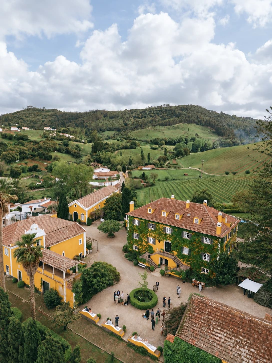Aerial view of the Main Courtyard, ivy-covered house and surrounding vineyards