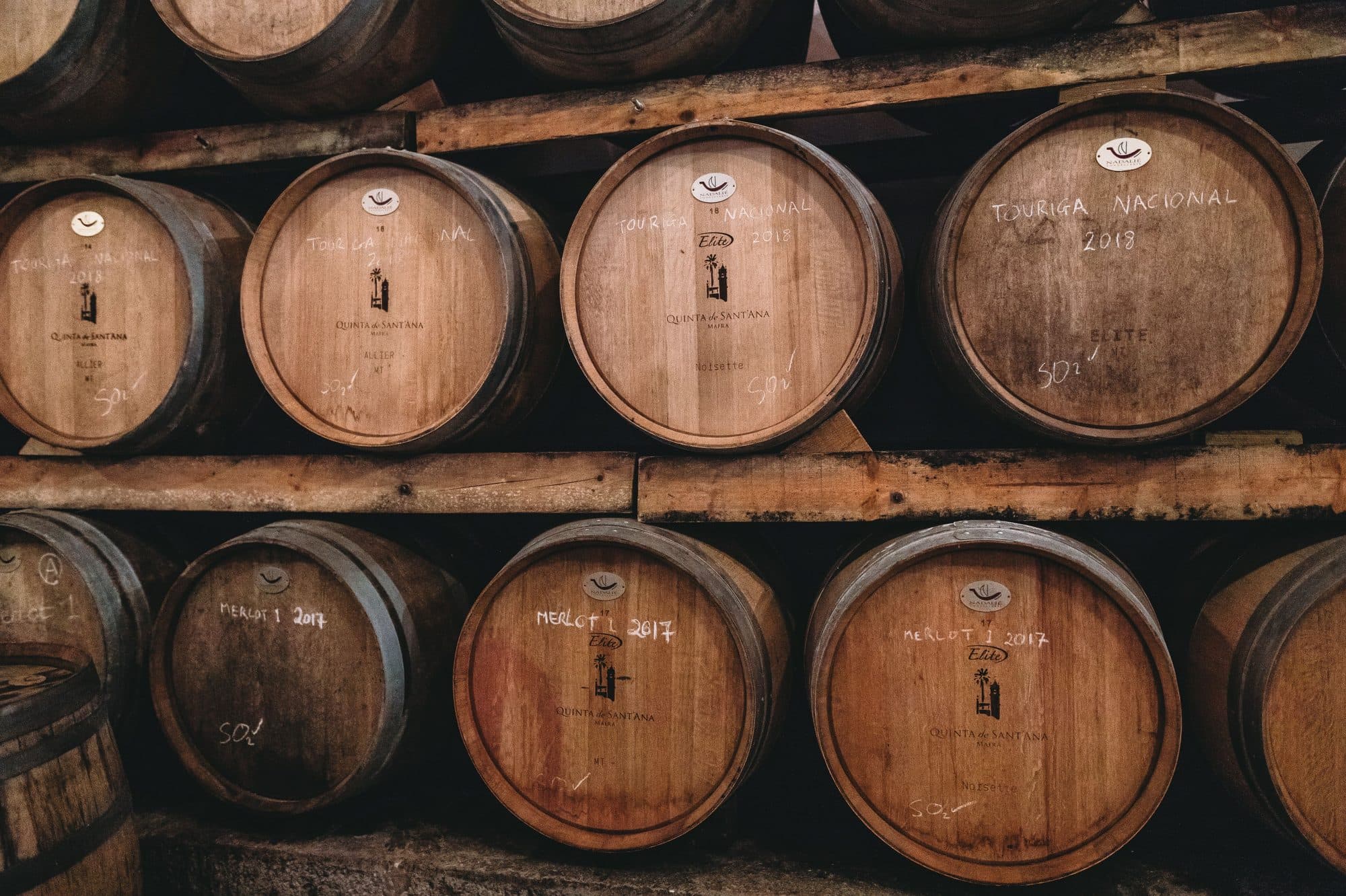 Wine barrels in the cellar