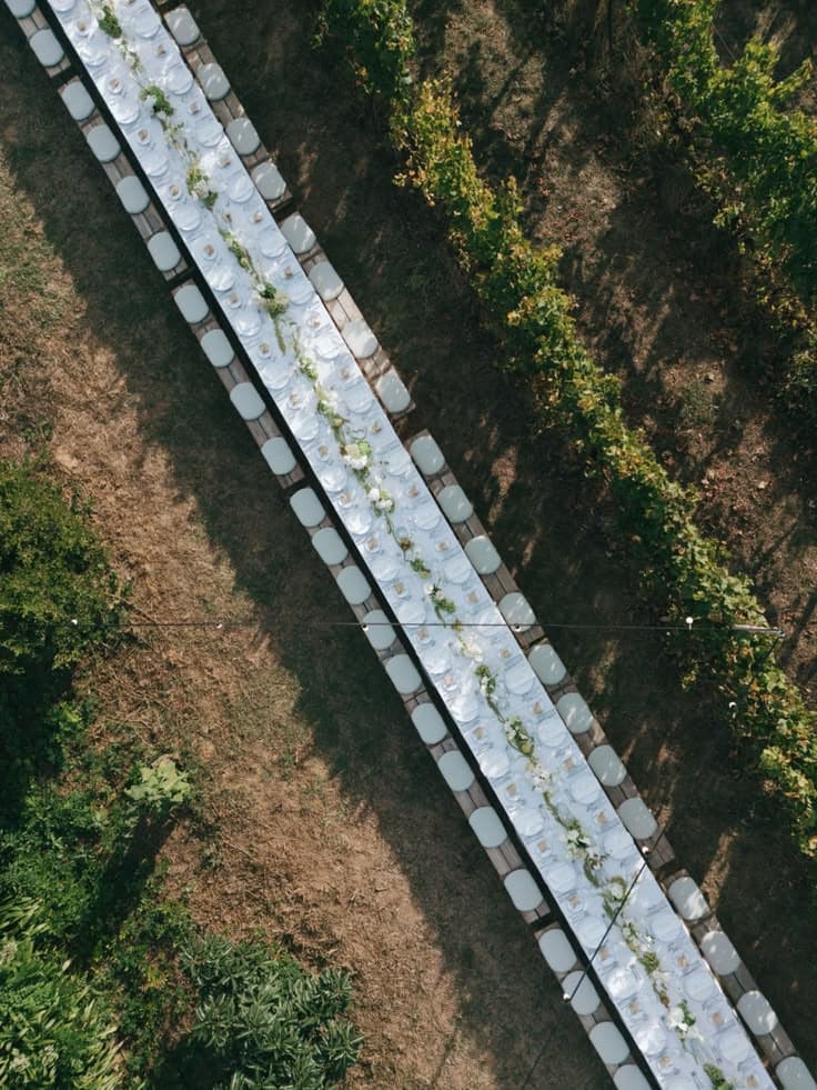 Overhead view of long tables between vine rows