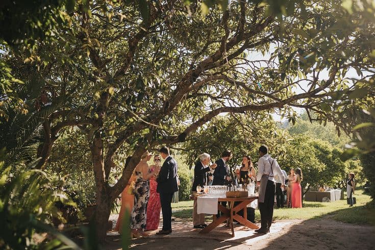 Drinks station under the tree canopy