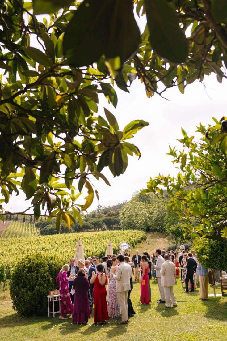 Cocktail reception among the vineyard rows
