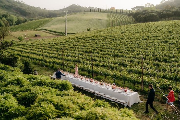 Long dinner table set among the vineyard rows