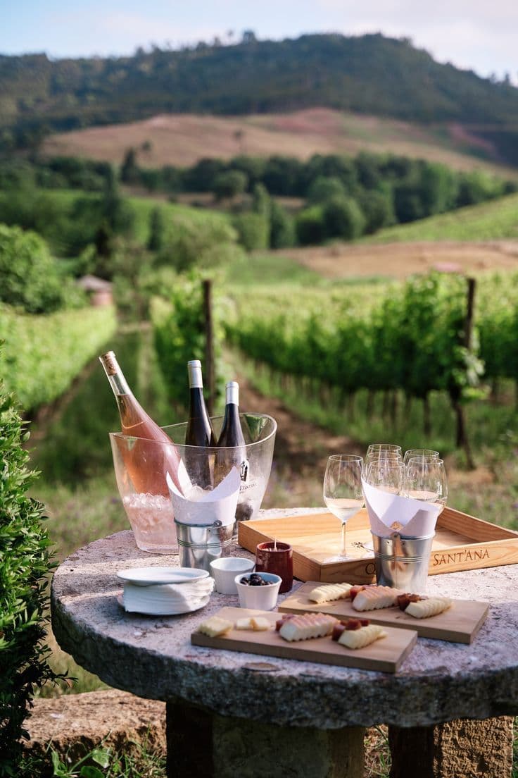 Estate wines and cheese board with vineyard view